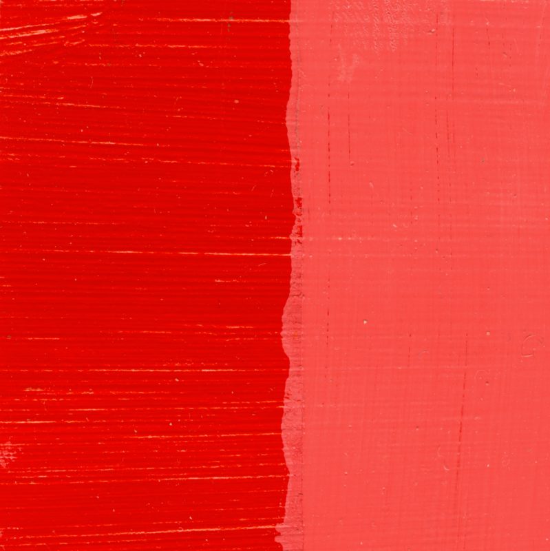 C.A.S. Alkydpro Paints
