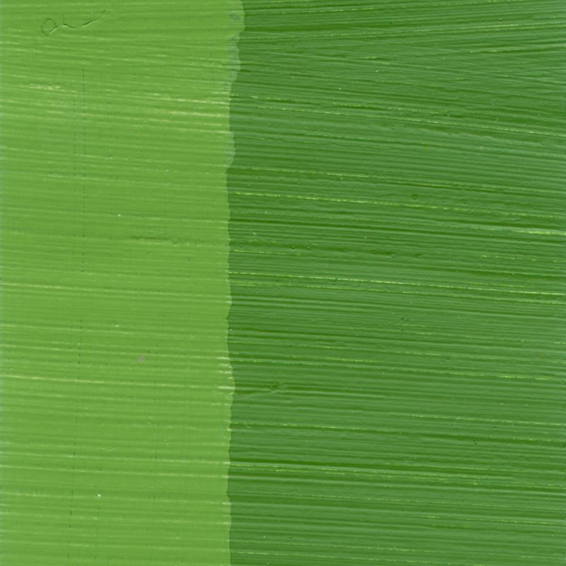 C.A.S. Alkydpro Paints