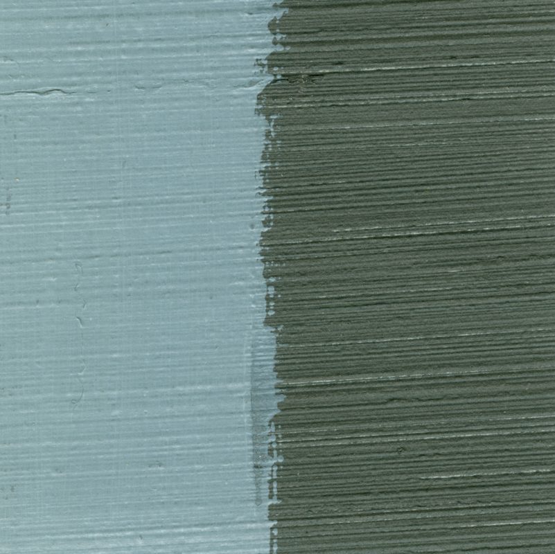 C.A.S. Alkydpro Paints