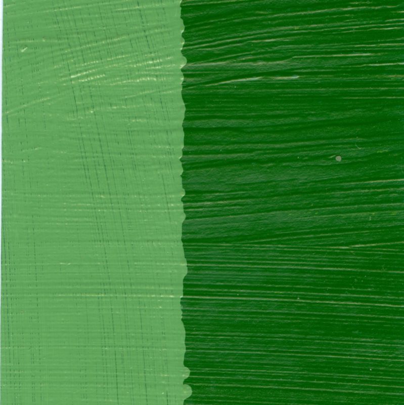 C.A.S. Alkydpro Paints