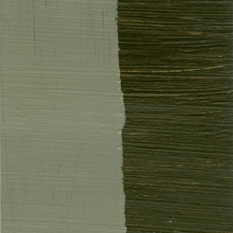 C.A.S. Alkydpro Paints